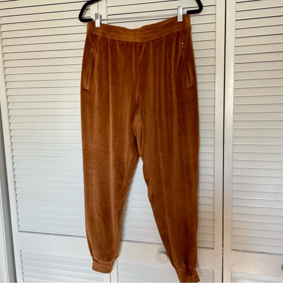 SKIMS Pants - SKIMS Velour Joggers